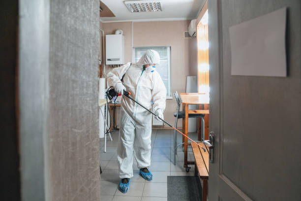 Best Post-Construction Mold Inspection  in Madison, NE