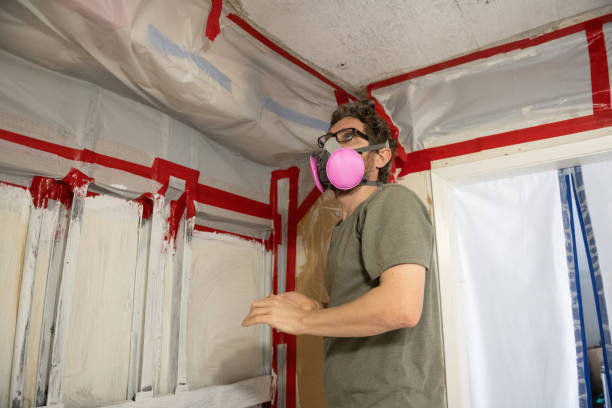 Madison, NE Mold Removal Company