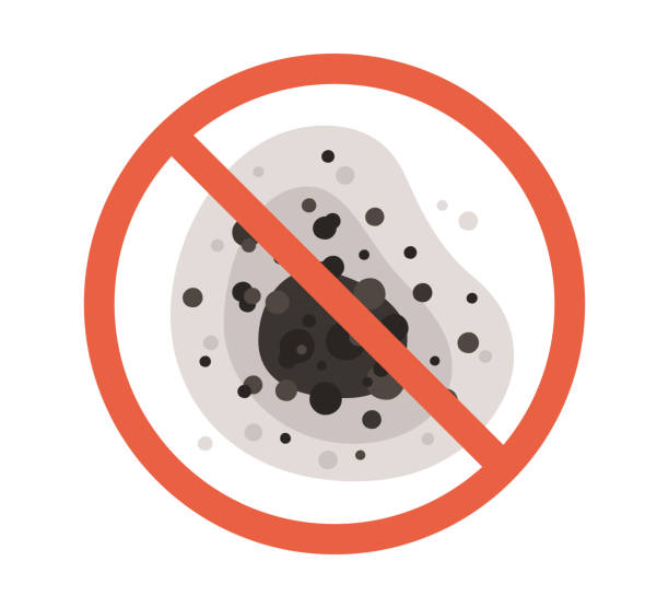 Best Commercial Mold Inspection  in Madison, NE